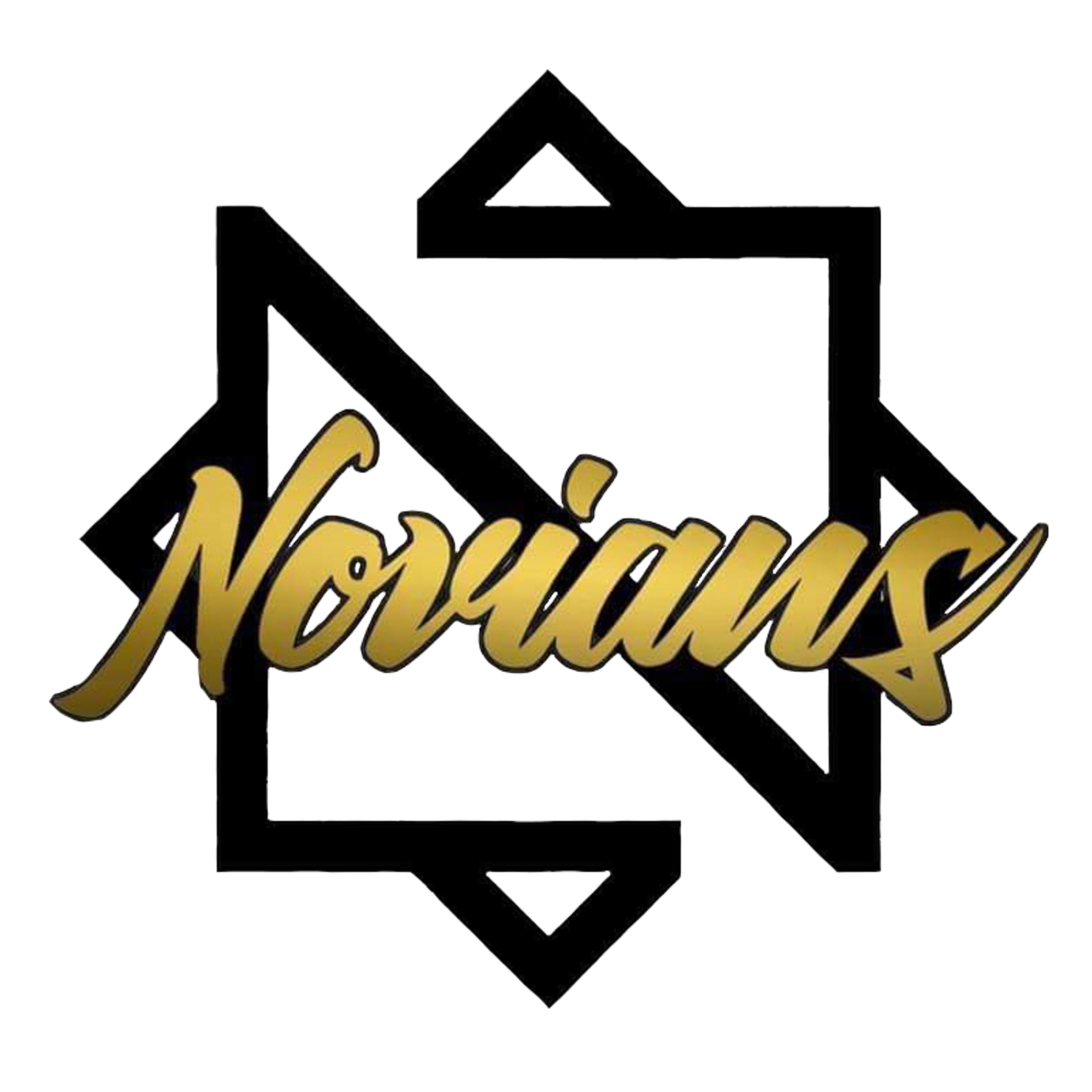 NVN Logo